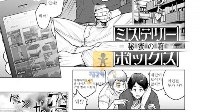 먹튀검증 토토군 어른애니망가 Mystery Box